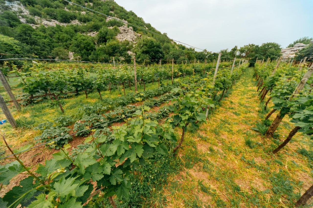 Apartments Econature Virpazar Zewnętrze zdjęcie