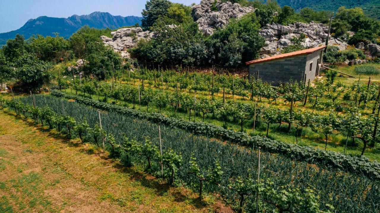 Apartments Econature Virpazar Zewnętrze zdjęcie