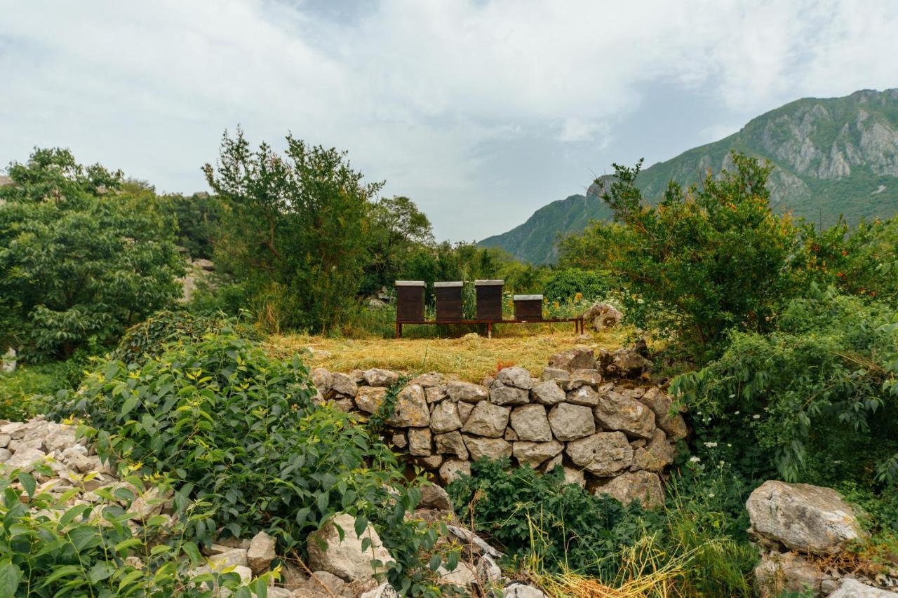 Apartments Econature Virpazar Zewnętrze zdjęcie