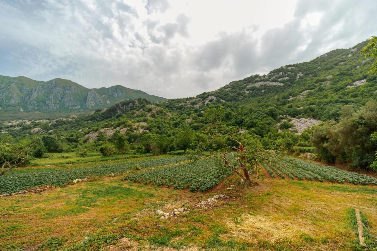 Apartments Econature Virpazar Zewnętrze zdjęcie