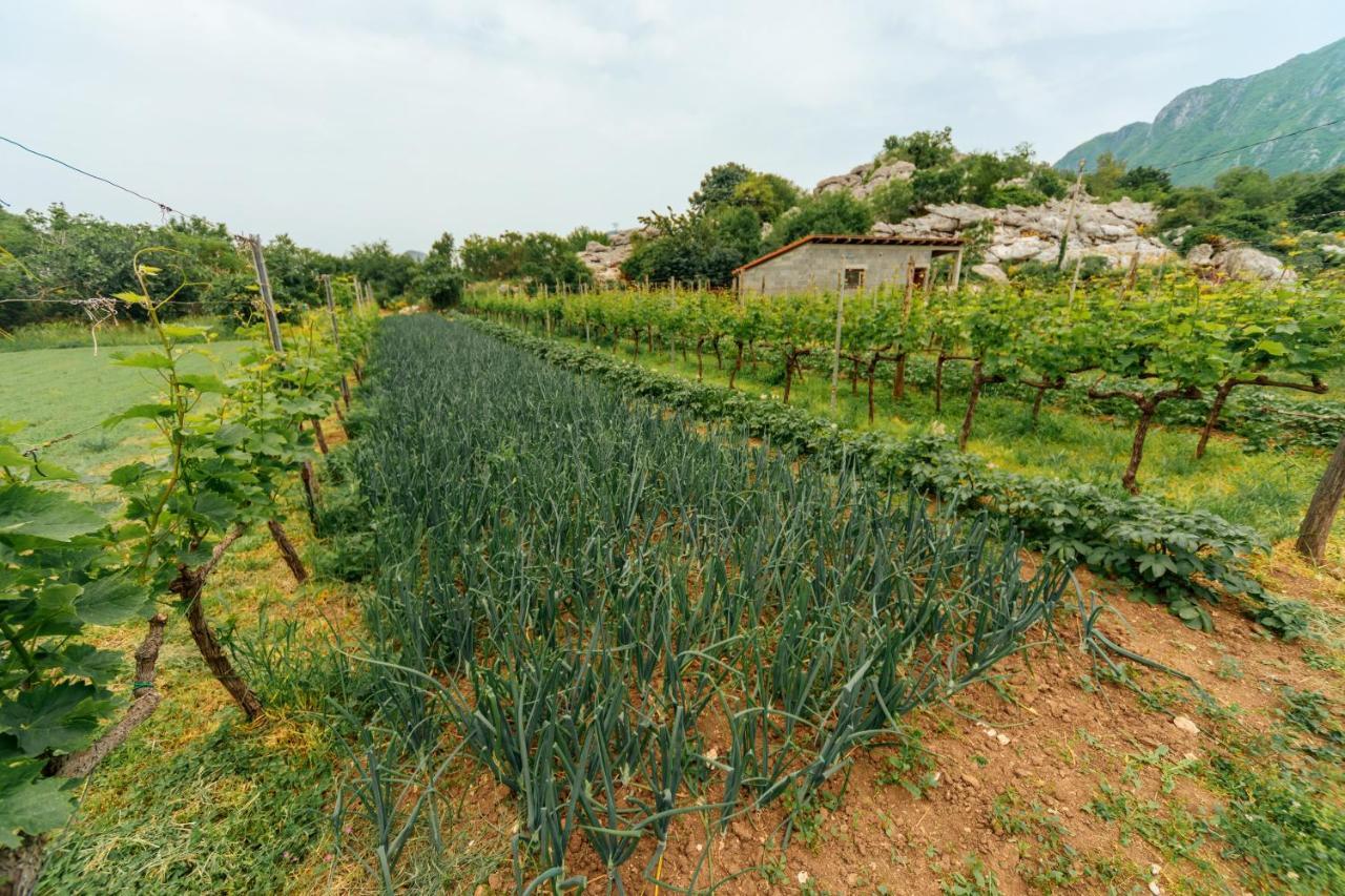 Apartments Econature Virpazar Zewnętrze zdjęcie